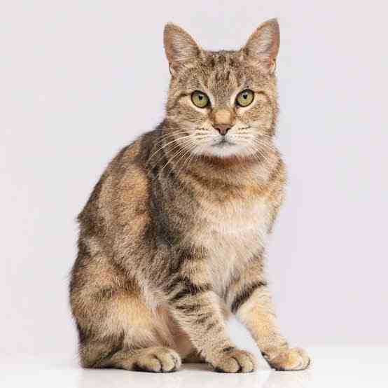 тест тест тест тест тест тест тест Казань