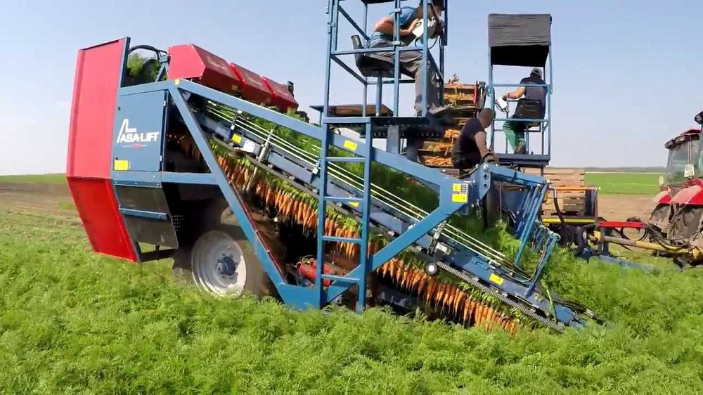 Комбайн свекловичный Asa Lift Т-100 для моркови борона культиватор сеялка Торез - изображение 1