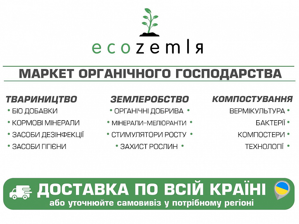 Черви старатель как калифорнийские семейство 1500шт для биогумуса рыбалки Докучаевск - изображение 8