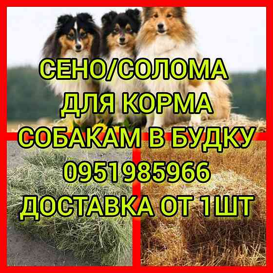 СЕНО с ДОСТАВКОЙ от 1 тюка мешка, сіно степное  в тюках мешках Енакиево