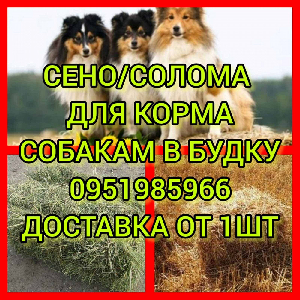 СЕНО с ДОСТАВКОЙ от 1 тюка мешка, сіно степное  в тюках мешках Енакиево - изображение 1