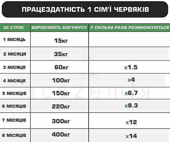 Черви старатель как калифорнийские семейство 1500шт для биогумуса рыбалки Димитров
