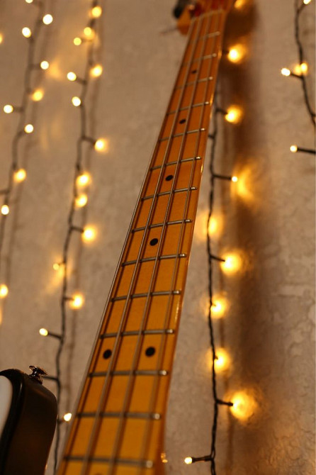 Precision bass Gavrilenko Шахтерск - изображение 6