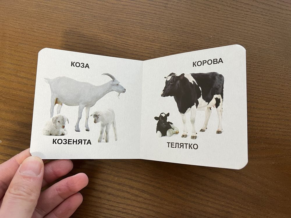 Детские книжки Мариуполь - изображение 4